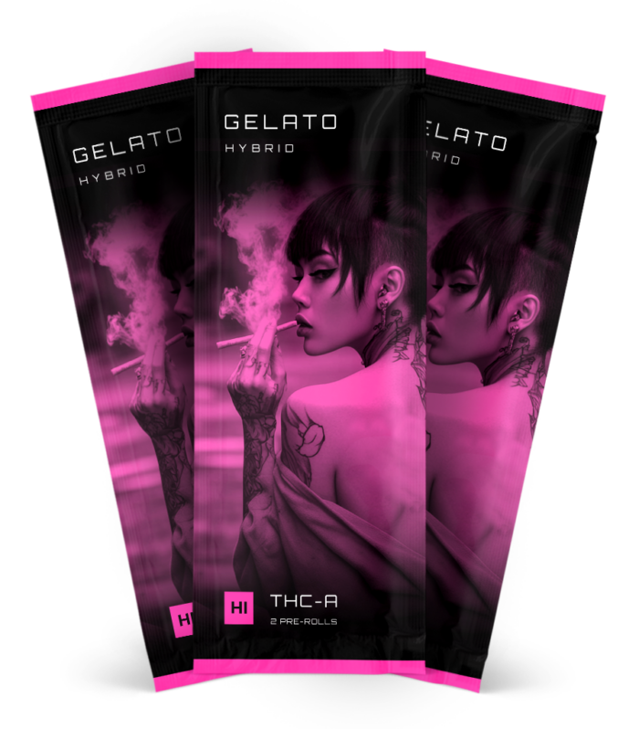 Bundle 3 2 Packs Gelato 1 1 1